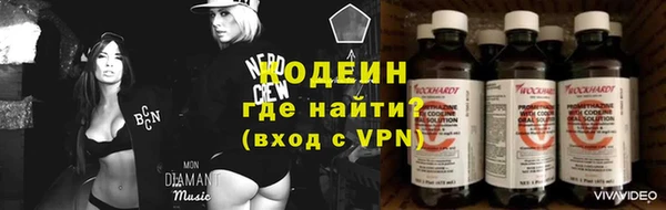 гашик Арсеньев