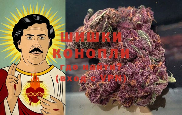 гашик Арсеньев