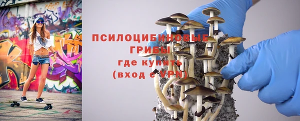 гашик Арсеньев
