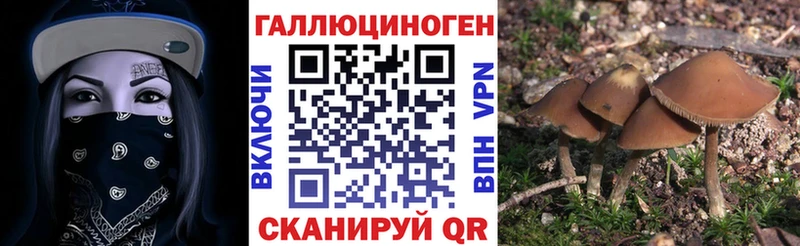 Галлюциногенные грибы GOLDEN TEACHER  маркетплейс Telegram  Лобня  MEGA зеркало 