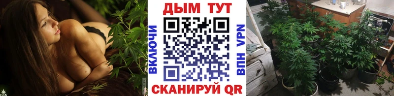 Бошки Шишки ГИДРОПОН  Лобня 